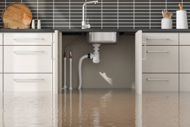 Best Water damage contractors near me  in Ridgeway, AK