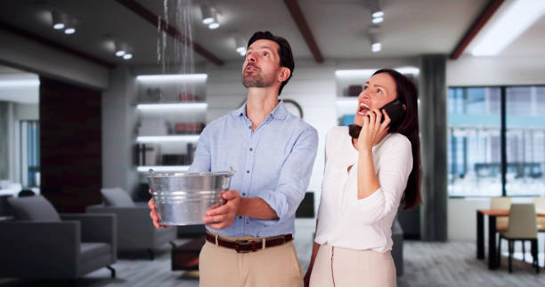 Best Professional water damage repair  in Ridgeway, AK