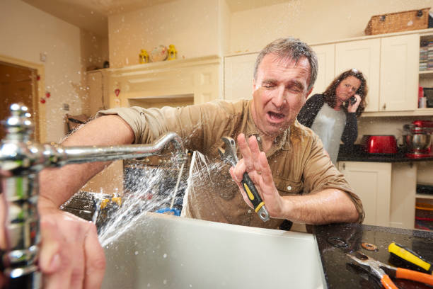 Best Flooded house restoration  in Ridgeway, AK